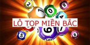 lo-top-mien-bac