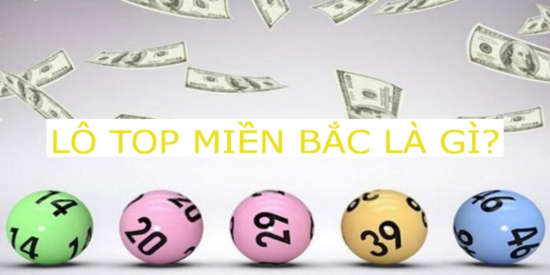 lo-top-mien-bac-3